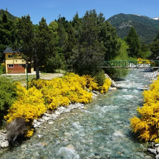 Arroyo Camping Goye - Colonia Suiza