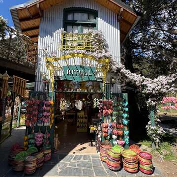 Feria Colonia Suiza