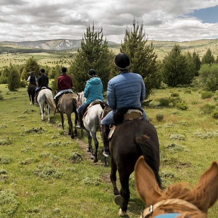 Cabalgata Bariloche - Estepa