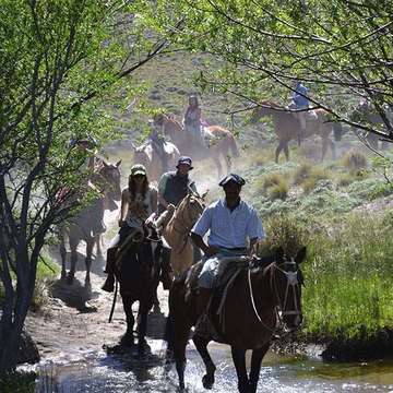 Cabalgata Bariloche - Estepa