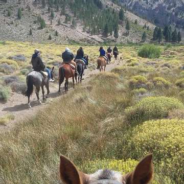 Cabalgata Bariloche - Estepa