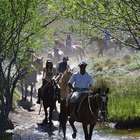 Cabalgata Bariloche - Estepa