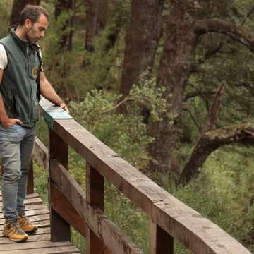 Pasarela Cascada Los Alerces