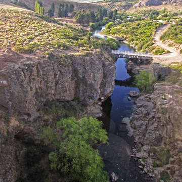 Tren Patagónico