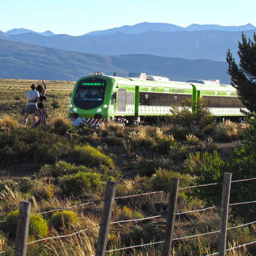 Tren Patagónico