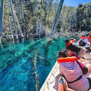 Bosque Sumergido - Villa Traful