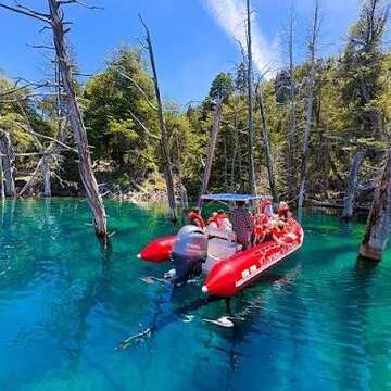 Bosque Sumergido - Villa Traful