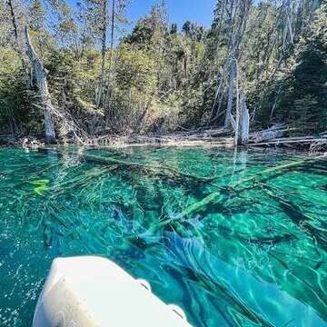 Bosque Sumergido - Villa Traful