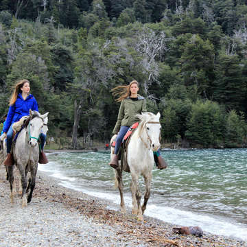 Caballos orillas Lago Gutiérrez