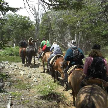 bosque