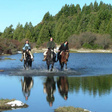 caballos agua