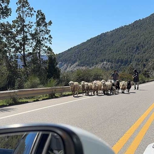 Ruta de los 7 Lagos