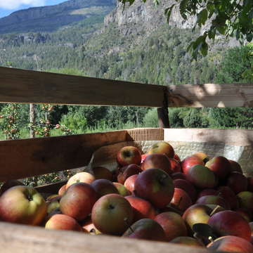 Manzanos El Bolsón