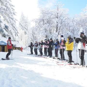 Clases Grupales